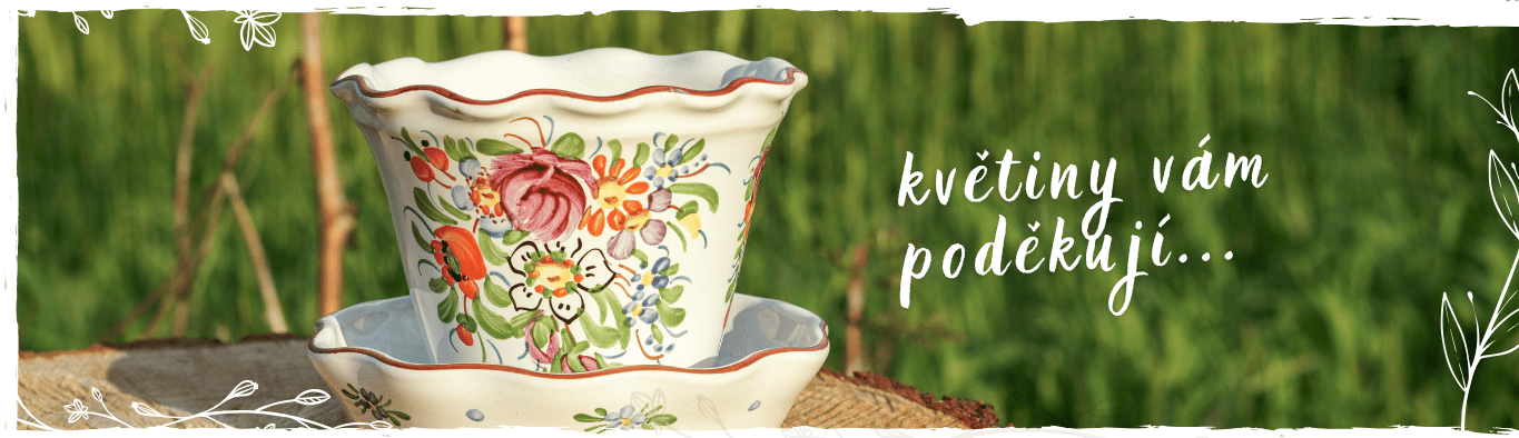 Úvodní banner shoptet (63)